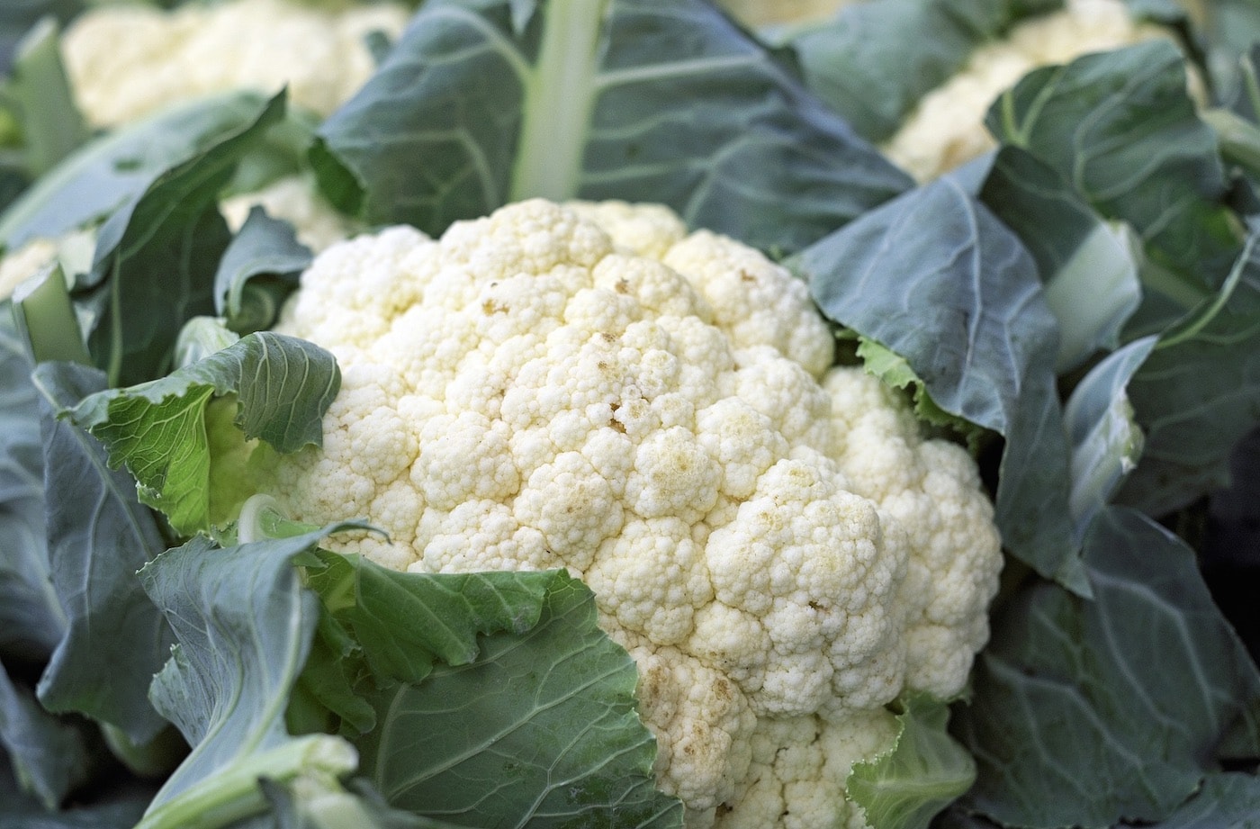 Best cauliflower recipe: how to cook sweet and sour cauliflower